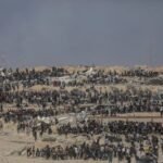 Papa lança «intenso clamor» para encerrar conflito na Terra Santa e solicita «que se promova a acesso seguro da assistência humanitária»