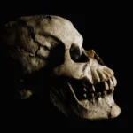 Nova descoberta de fósseis na Etiópia reescreve as raízes da humanidade