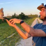 Pica-paus prosperam onde mísseis zumbem. Como uma área de bombardeio virou um refúgio de vida selvagem.