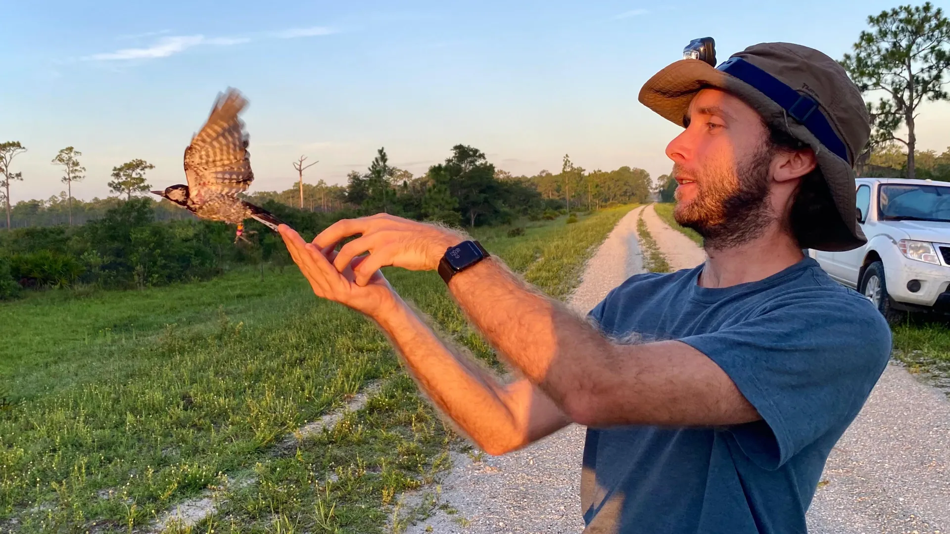 Pica-paus prosperam onde mísseis zumbem. Como uma área de bombardeio virou um refúgio de vida selvagem.
