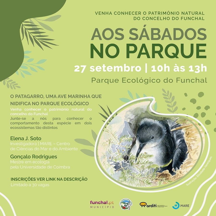 Nos Fins de Semana no Bosque” contará com uma apresentação especial voltada ao bico-de-lacre, pássaro costeiro que faz seus ninhos no Parque Natural.