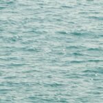 Diretora da Escola do Benfica na Ucrânia é investigada pela morte por submersão de garoto de 10 anos.