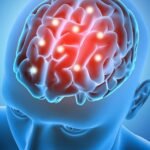 Cientistas Neuro revelam o primeiro esboço cerebral integral na escolha decisória