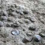 Estes ovos de dinossauros resistiram a 85 milhões de anos. O que eles revelam é incrível.