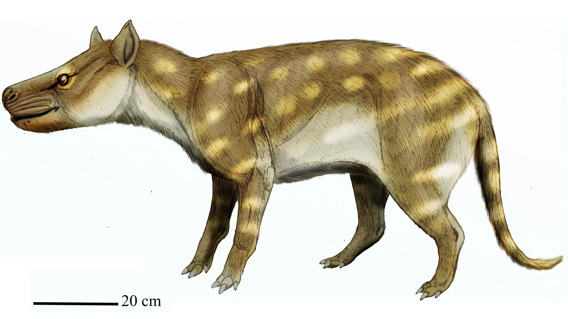 Este predador pré-histórico sobreviveu ao aquecimento global consumindo ossos