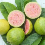 A molécula secreta da goiabeira pode combater o câncer hepático