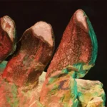 Dentes de dinossauros revelam mistérios da vida jurássica há 150 milhões de anos