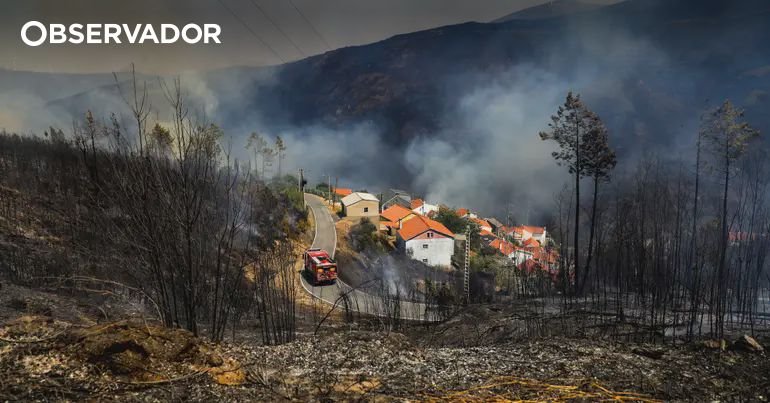 Transformar as moradias de acolhimento na área Central