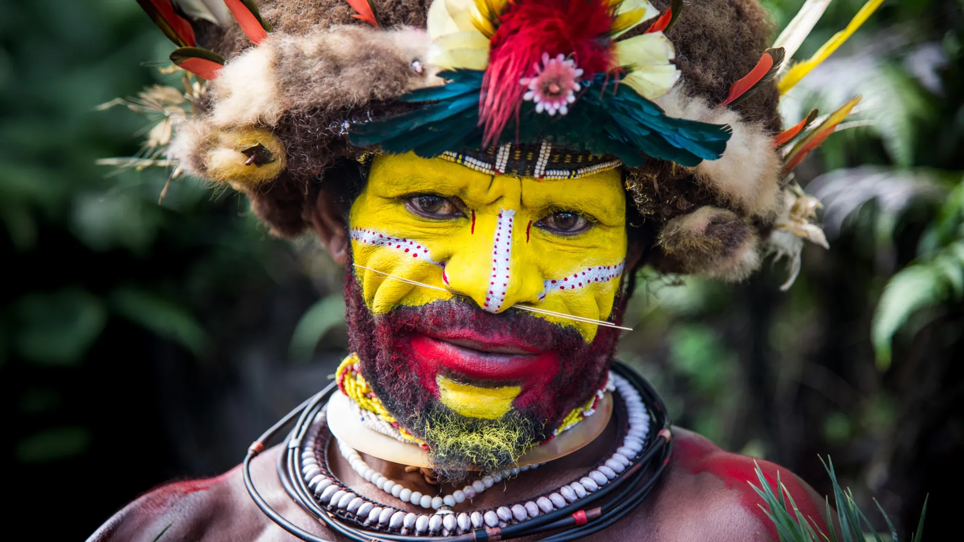 What Are the Citizens of Papua New Guinea? Novel DNA Research Uncovers Astonishing Heritage