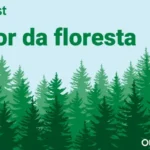 Bosque: criatividade e desenvolvimento