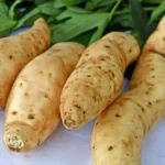 O DNA da batata-doce revelou-se mais peculiar do que todos imaginavam.