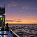 O microorganismo mais prevalente do oceano está perto do seu limite.