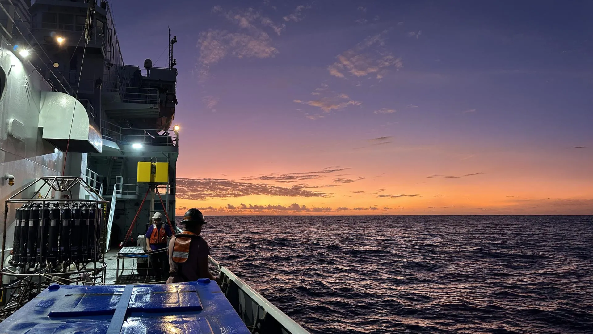 O microorganismo mais prevalente do oceano está perto do seu limite.
