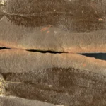 Cientistas Descobrem Três Mundos Antigos Congelados Sob Illinois por 300 Milhões de Anos