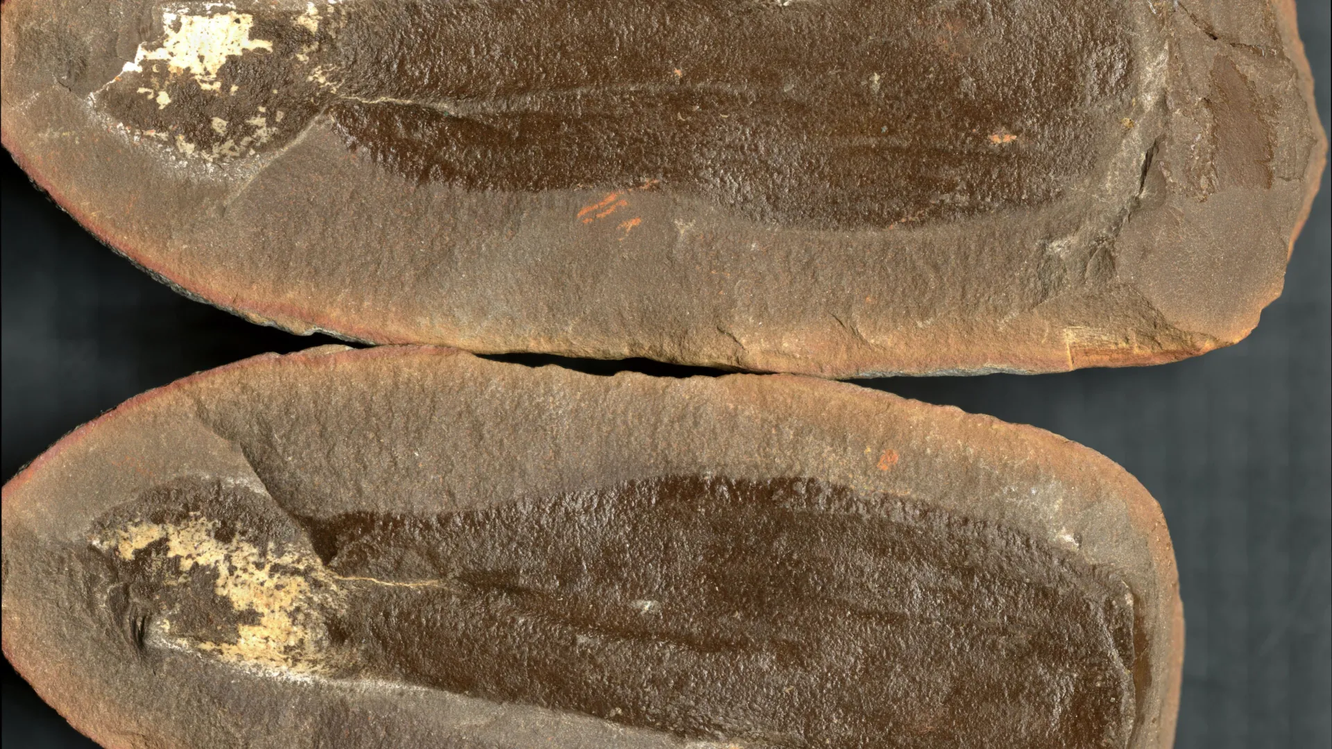 Cientistas Descobrem Três Mundos Antigos Congelados Sob Illinois por 300 Milhões de Anos