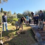 Jovens lusos cultivaram árvore em Castel Gandolfo, dando continuidade ao compromisso feito na JMJ 2023