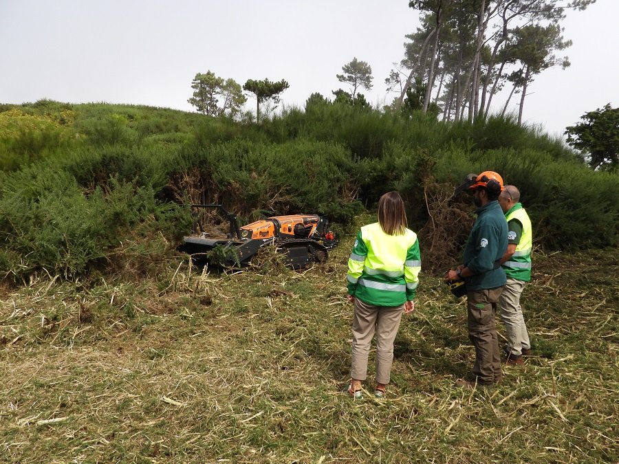 Máquina Verde Intensifica Preservação e Apreciação do Parque Ecológico Funchal