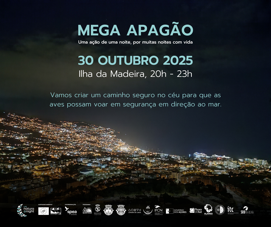 Acorde a chamada a ação, agora!