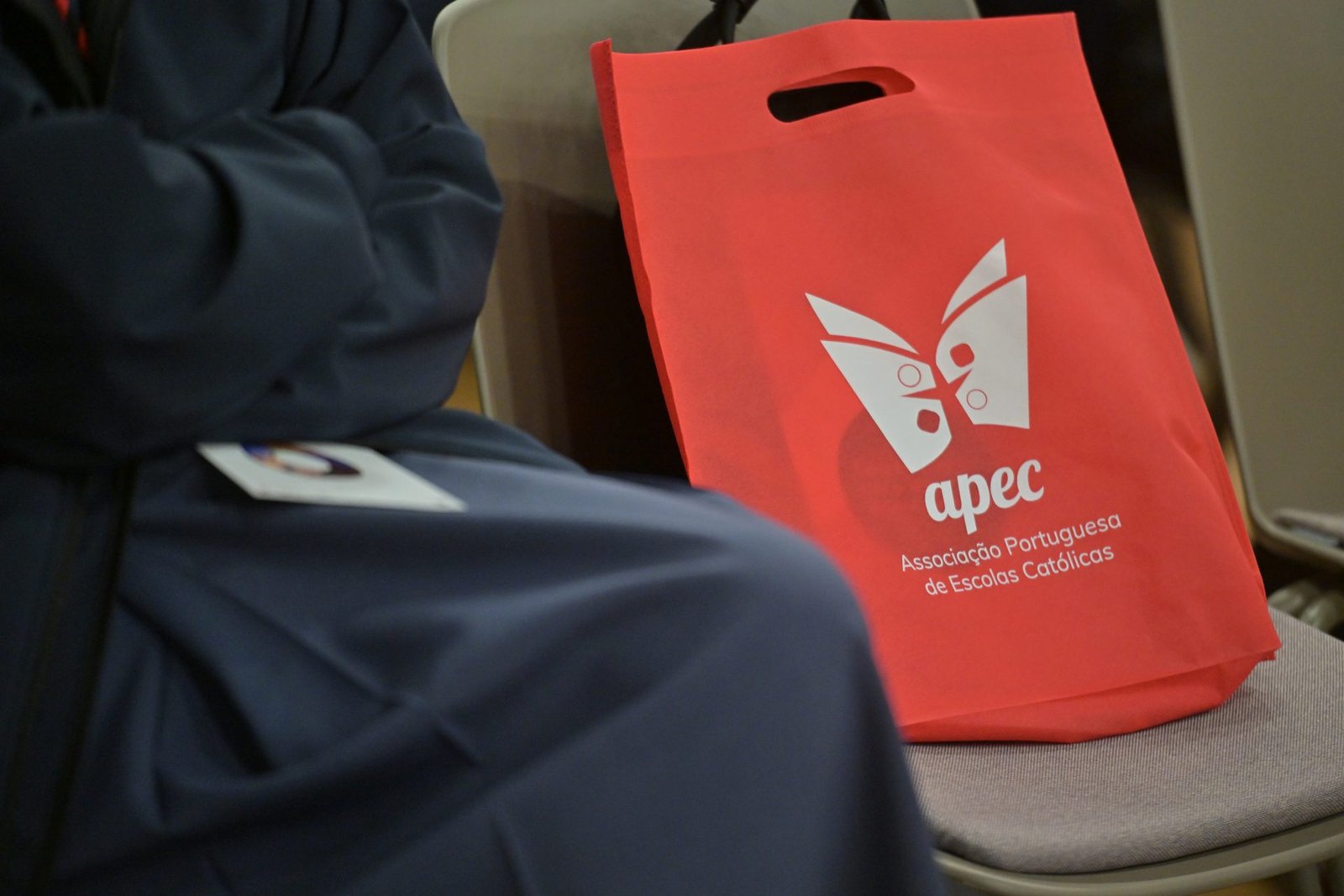 Escola Católica: Mensagem «Traçar novos caminhos de otimismo» irá sinalizar «nova etapa» na perspectiva sobre as iniciativas pedagógicas.