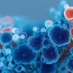 Antes das plantas ou dos animais, os fungos dominaram a superfície terrestre.