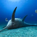 Fósseis na Alemanha revelam uma criatura marinha jurássica com um focinho de peixe-espadinha.