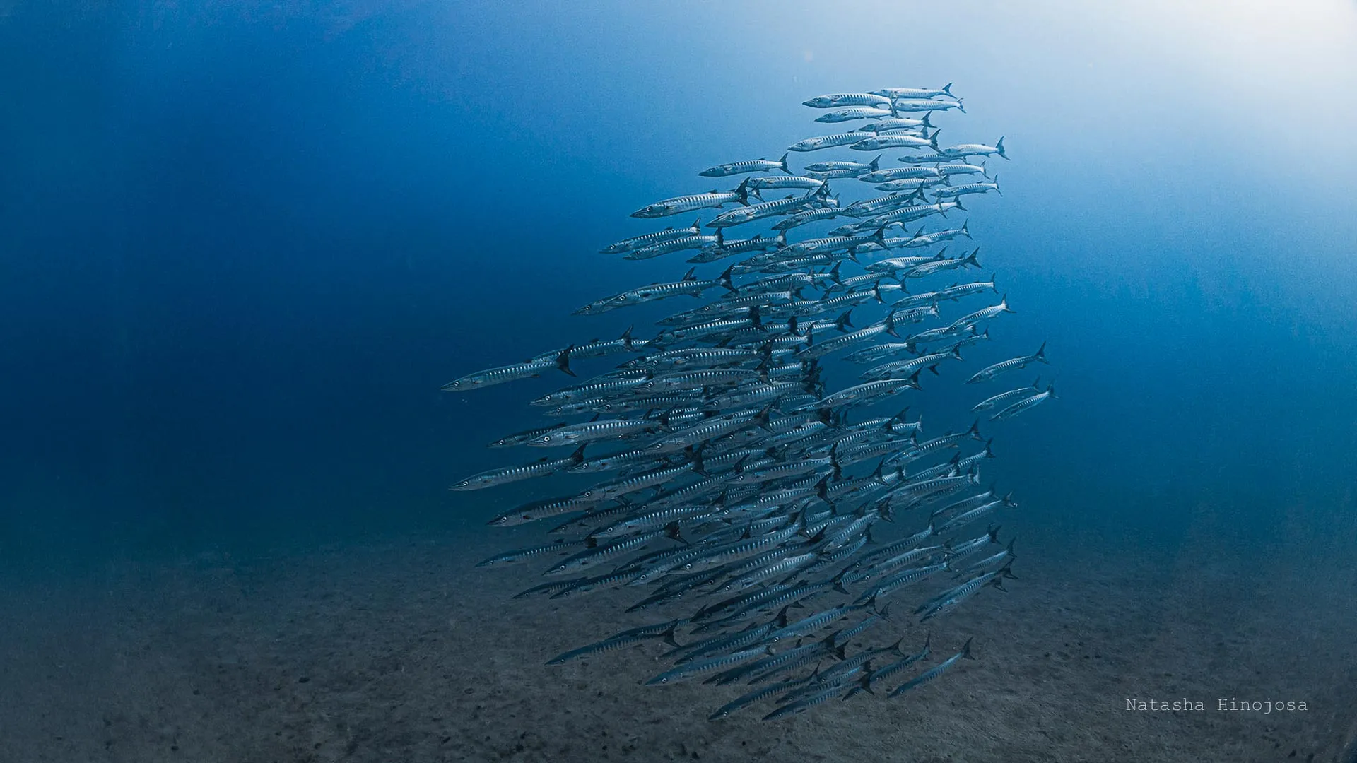 Desaparecimento da artéria oceânica do Panamá pela primeira vez em 40 anos