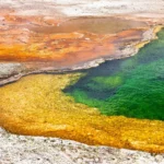 As fontes termais do Japão guardam segredos sobre a origem da vida na Terra
