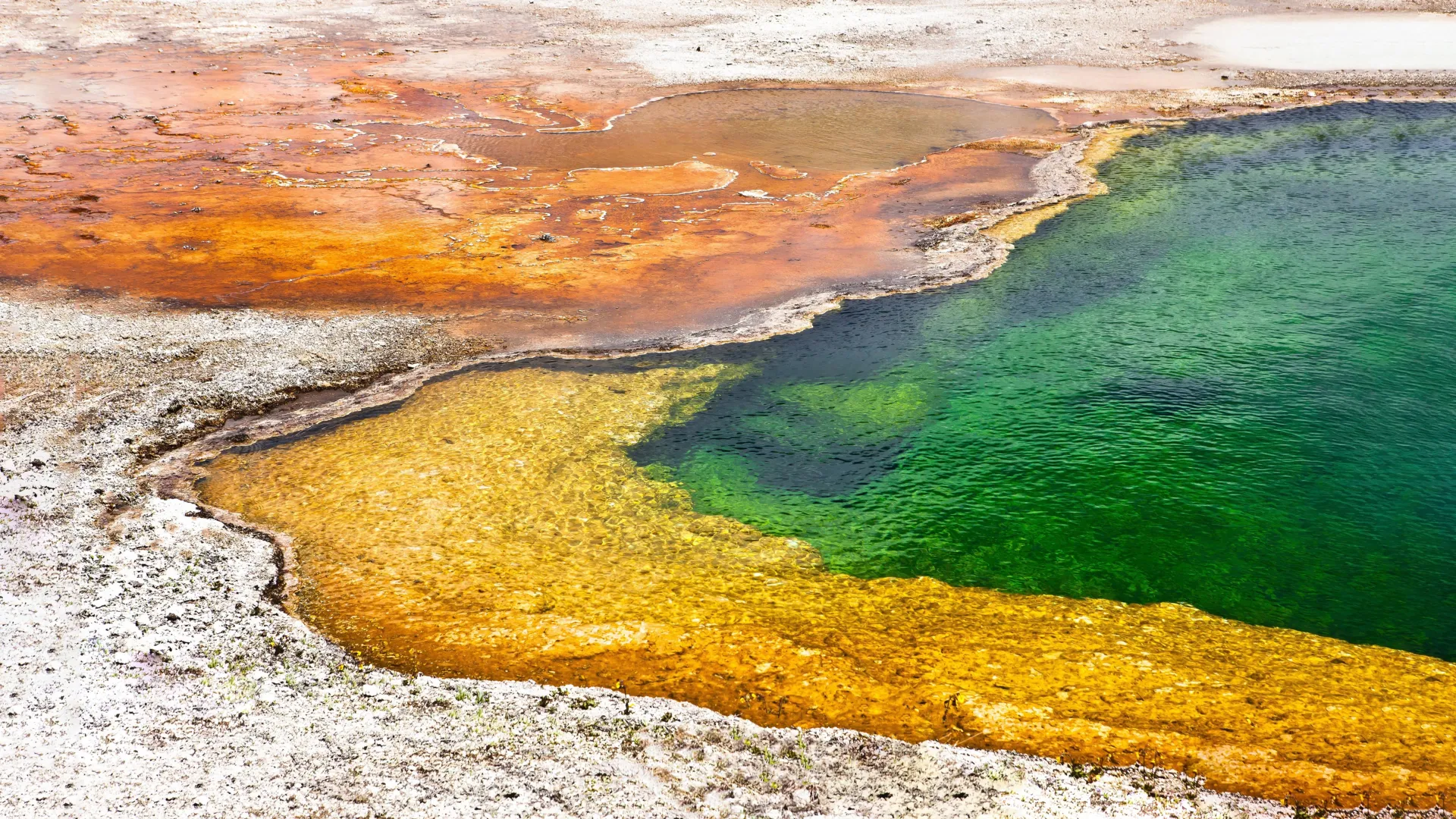 As fontes termais do Japão guardam segredos sobre a origem da vida na Terra