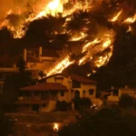 Cientistas revelam paradoxos de incêndios florestais que colocam 440 milhões de pessoas em risco