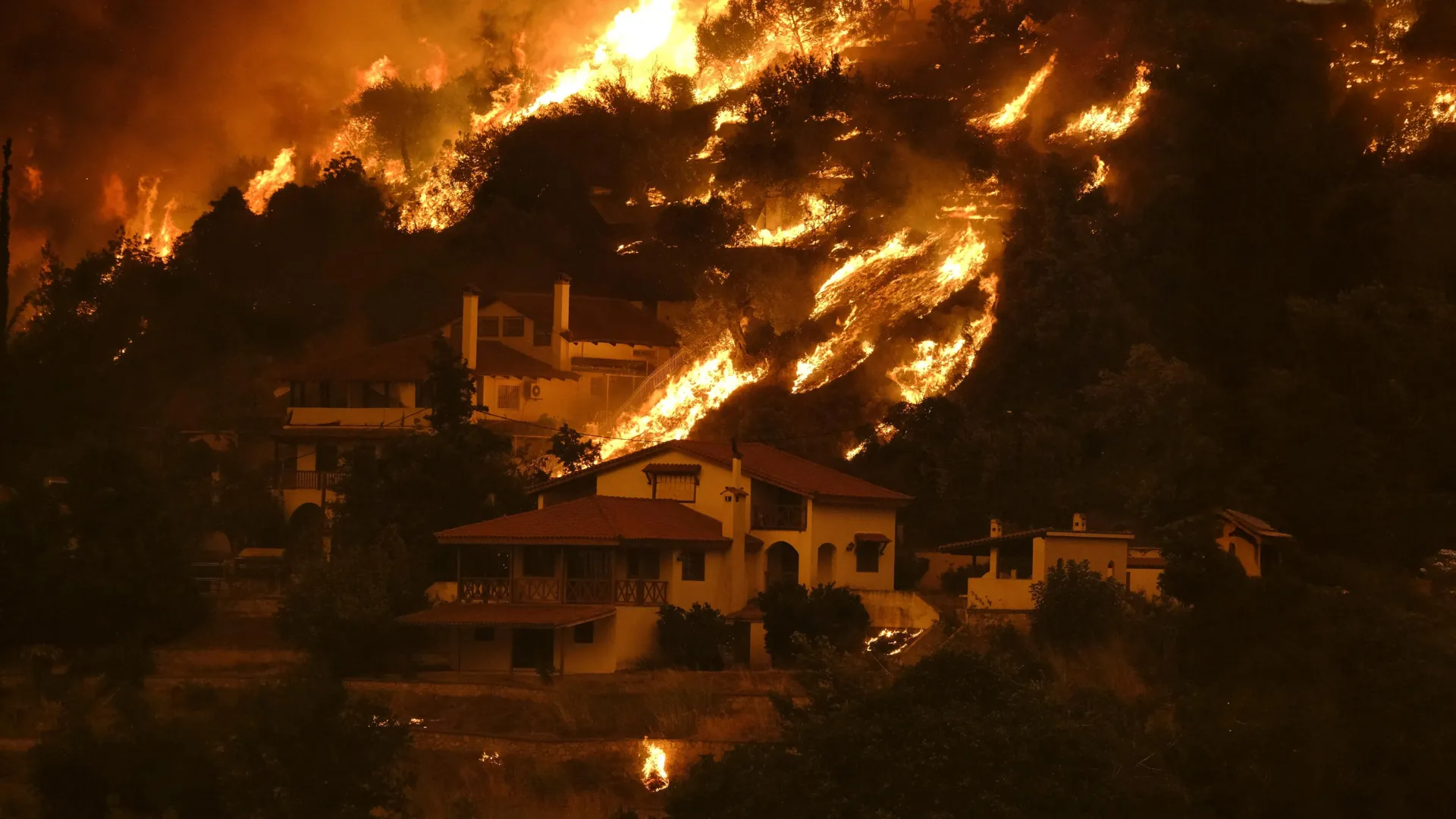 Cientistas revelam paradoxos de incêndios florestais que colocam 440 milhões de pessoas em risco