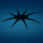 Esses pequenos robôs realmente caminham sobre a água