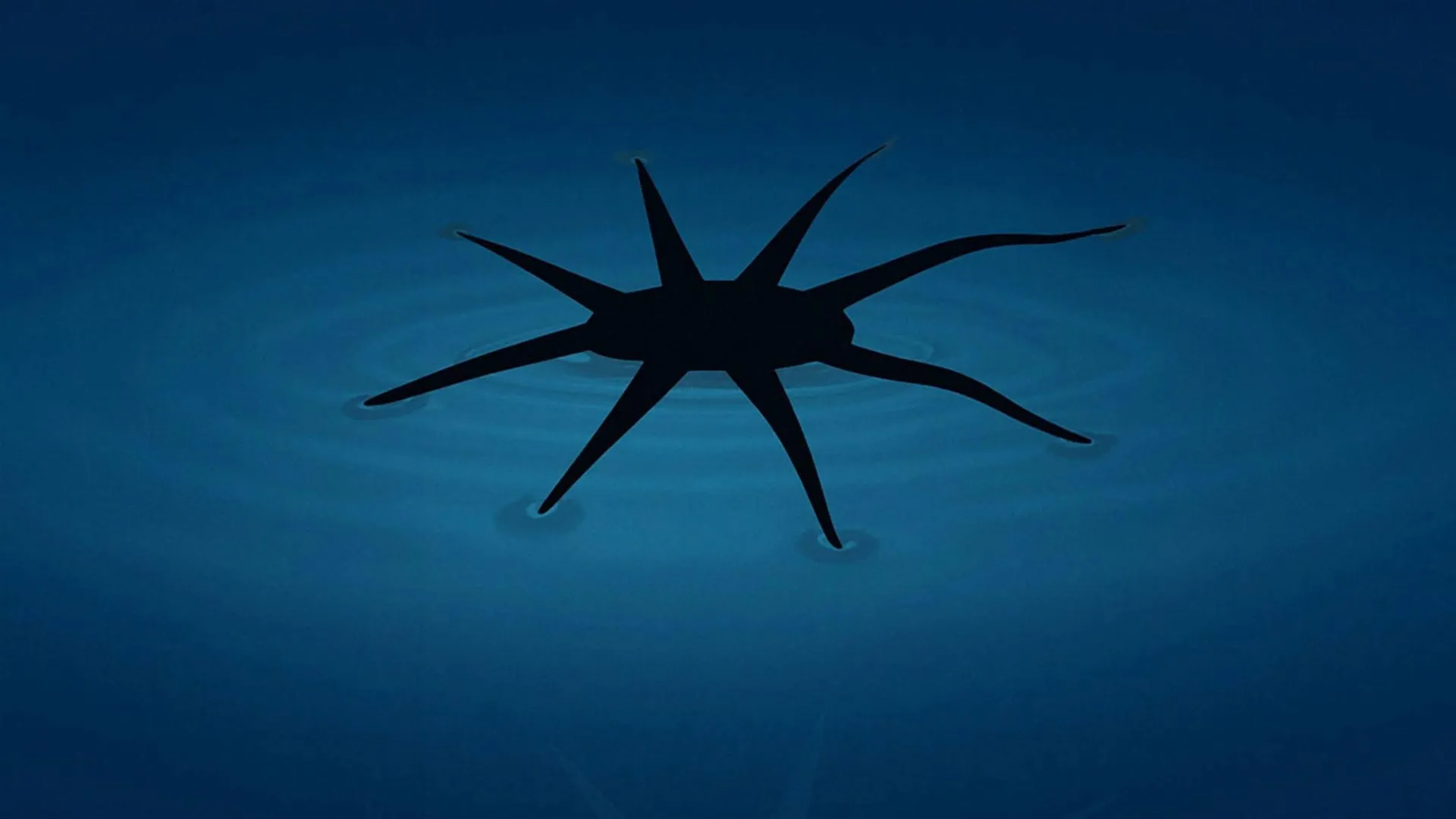 Esses pequenos robôs realmente caminham sobre a água