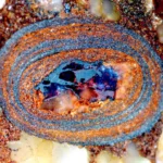 Pedrinhas Minúsculas Reescrevem a Narrativa da Evolução do Planeta