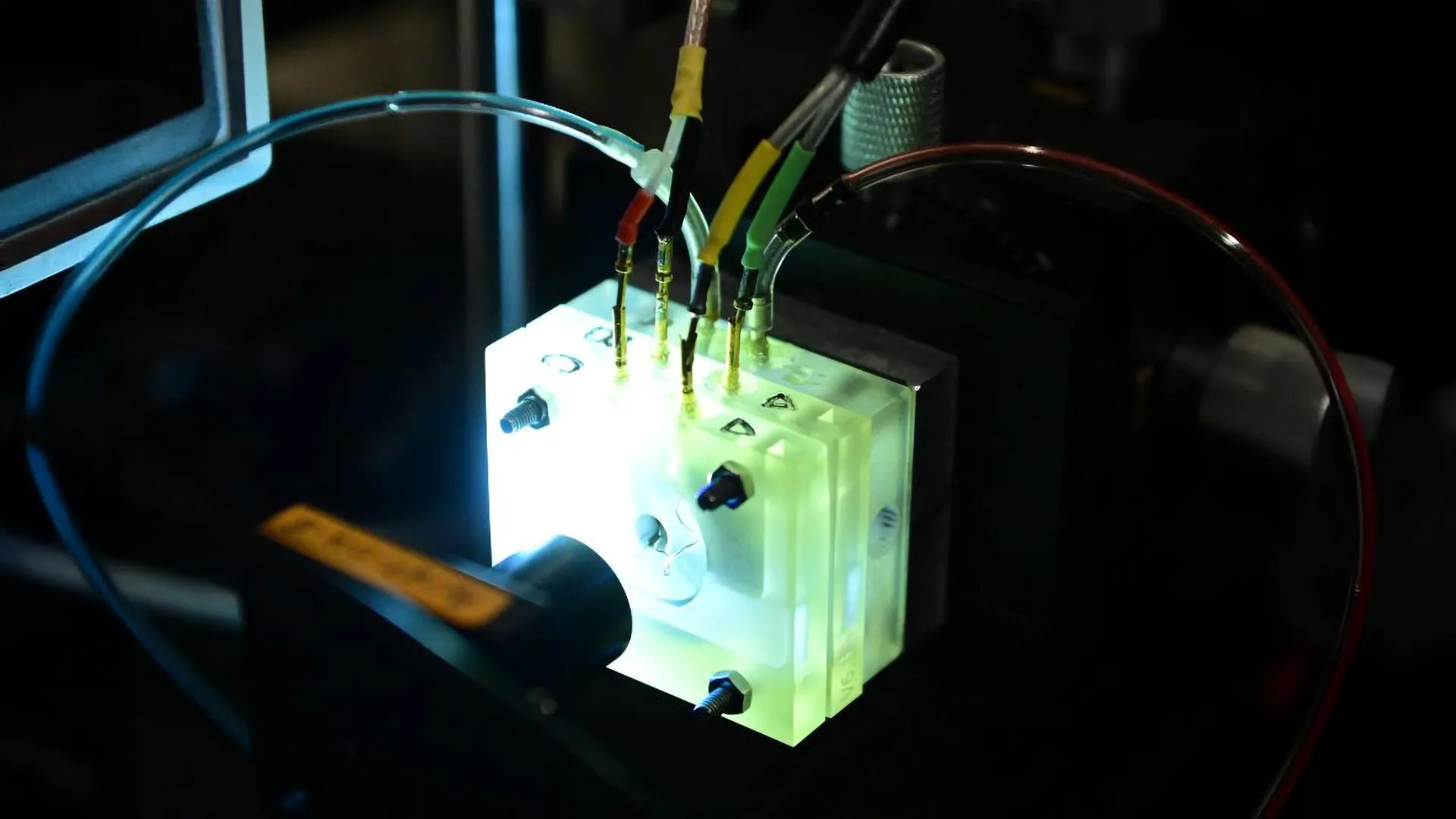 Primeira cóclea viva fora do corpo revela o funcionamento real da audição