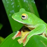 Pesquisadores descobriram uma reviravolta inesperada na narrativa de extinção da Terra.