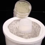 Cientistas Transformam Aroma de Flores em Assassinato de Mosquitos