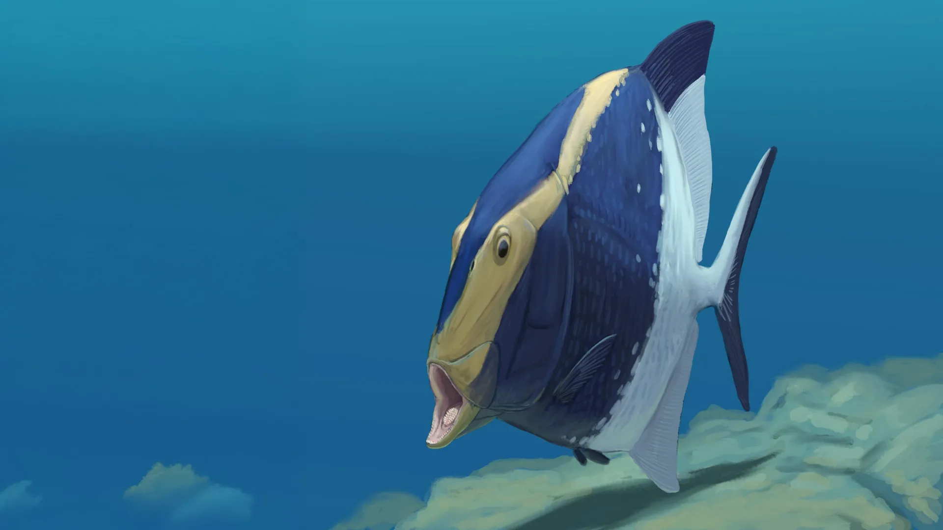 Fóssil revela um peixe de 310 milhões de anos que se alimentava com uma segunda mandíbula oculta