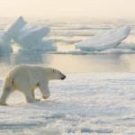 Satélites comprovam previsões de nível do mar dos anos 90 surpreendentemente precisas