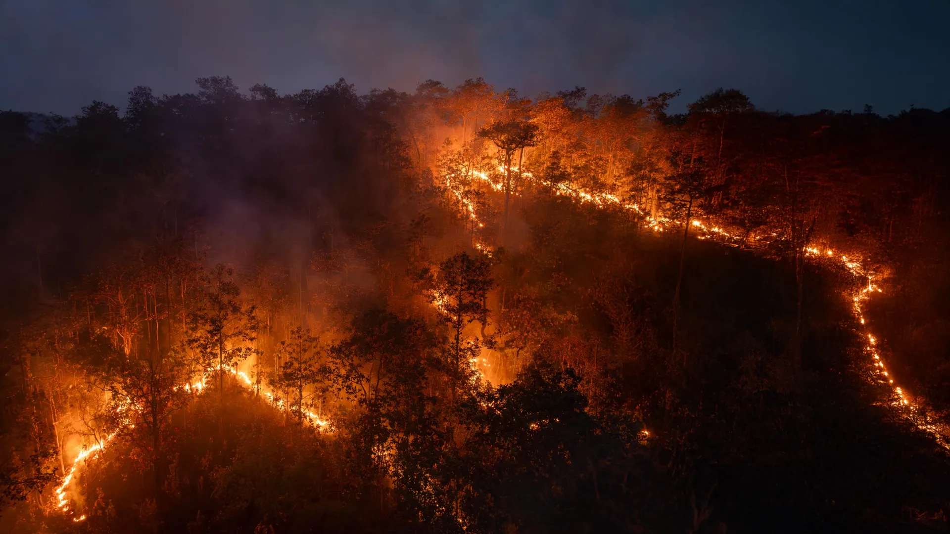 Incêndios na Amazônia liberam mais carbono do que uma nação inteira