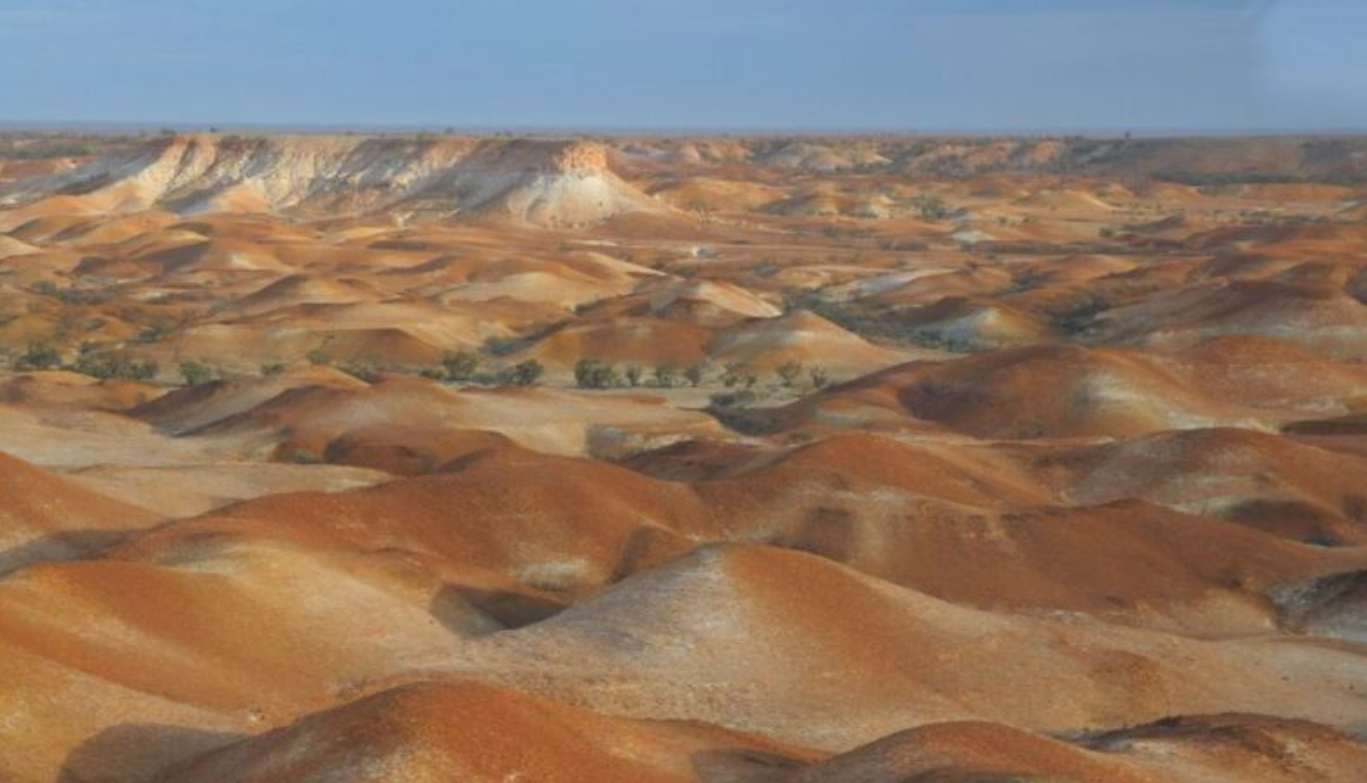 Conheça a imensa propriedade pecuária global (com 240 vezes a extensão de Lisboa)