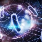 Nova terapia bacteriana elimina câncer sem sistema imunológico