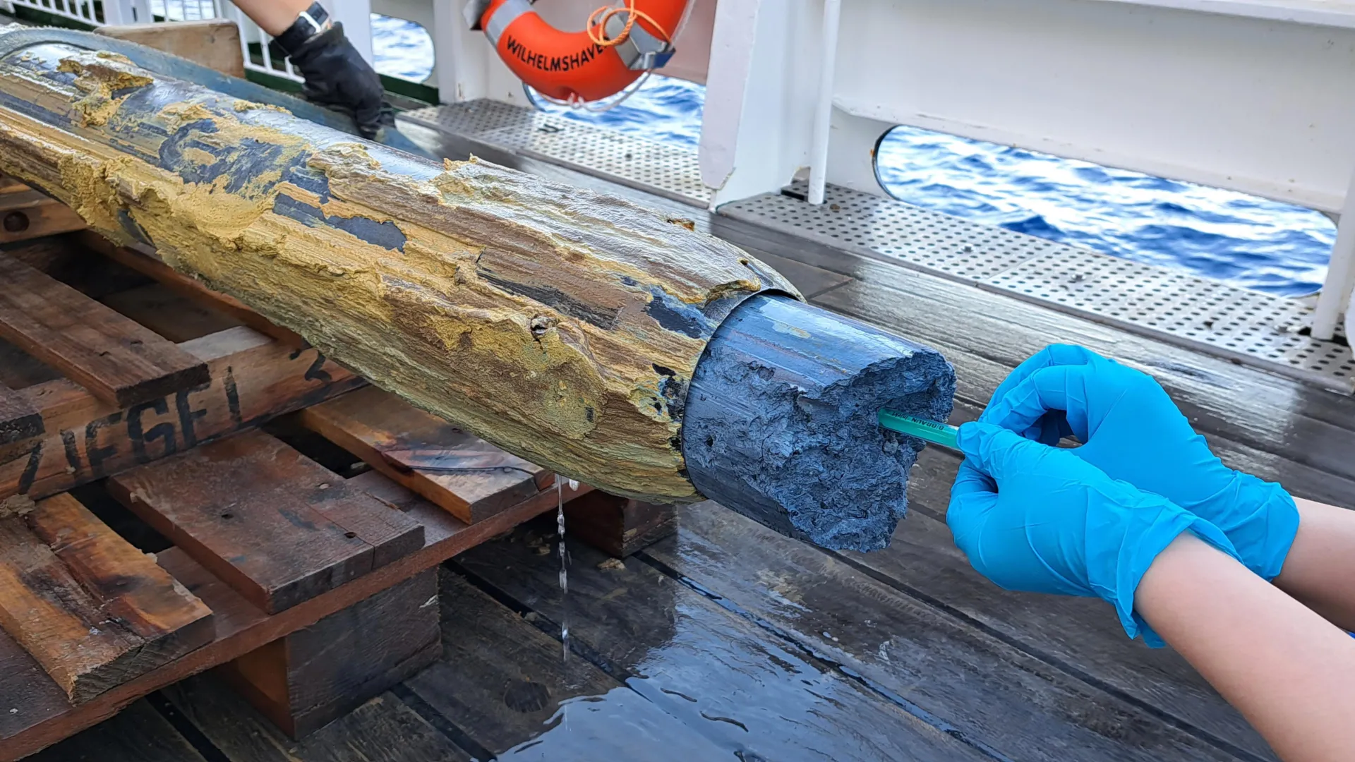 Vida Descoberta em um Local que os Cientistas Consideravam Impossível