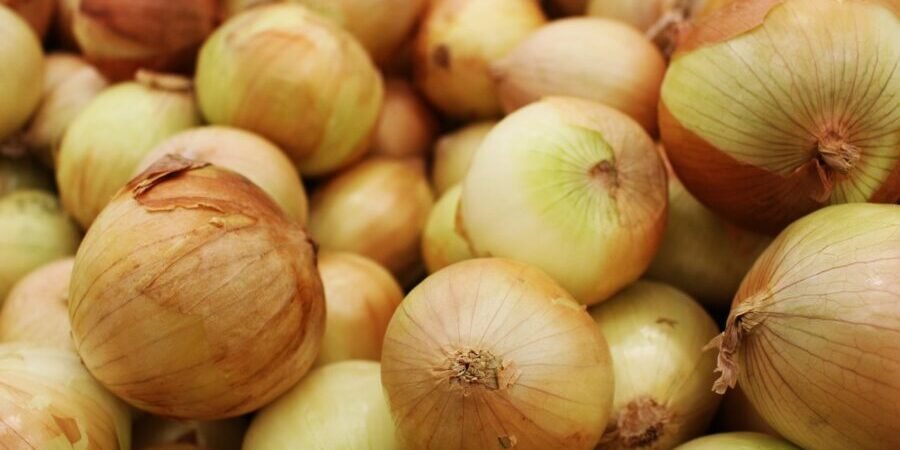 Pesquisadores descobrem técnica fácil para impedir lágrimas ao picar cebolas