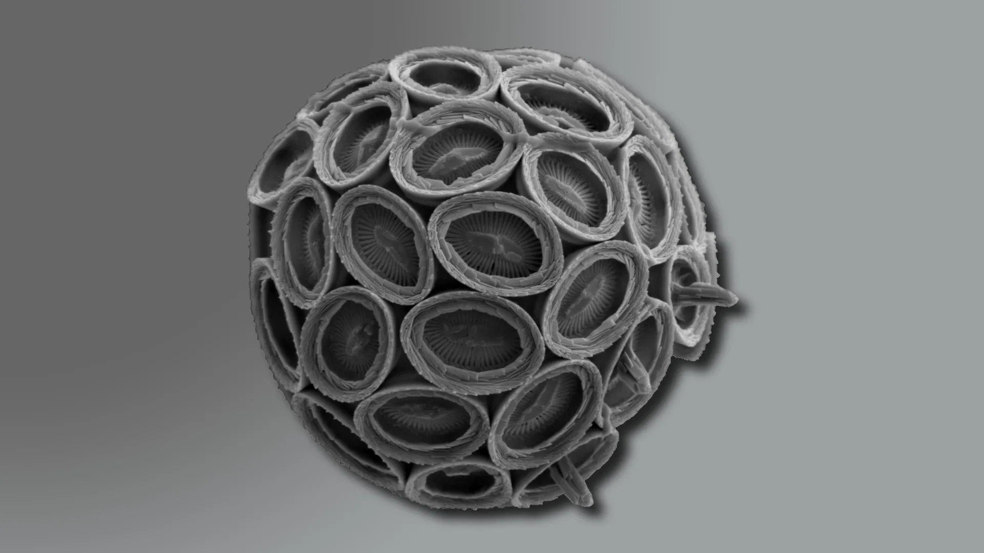 Menores que poeira, mas essenciais para o clima da Terra