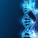 Um minúsculo verme acabou de desvendar um grande mistério sobre prolongar a vida.