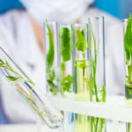 Cientistas revelam o mistério de uma molécula combatente do câncer.