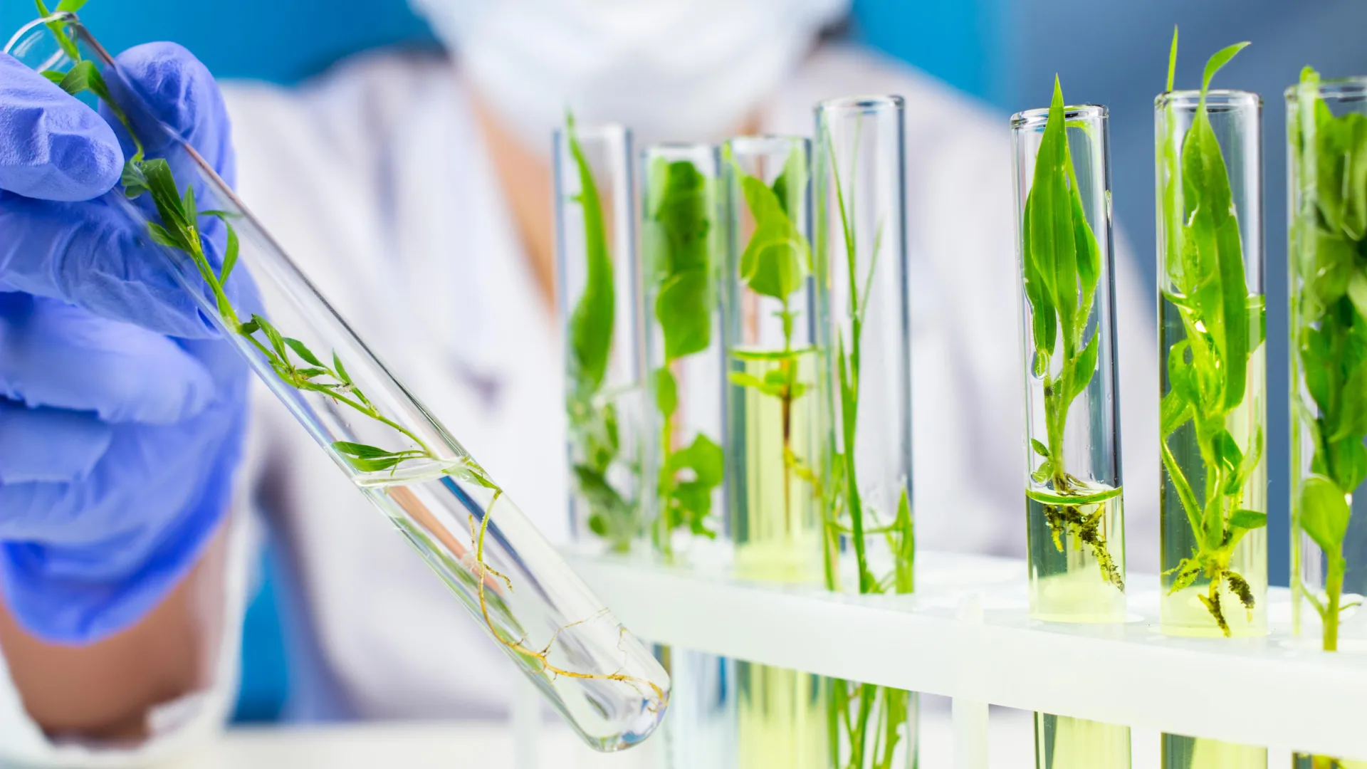 Cientistas revelam o mistério de uma molécula combatente do câncer.