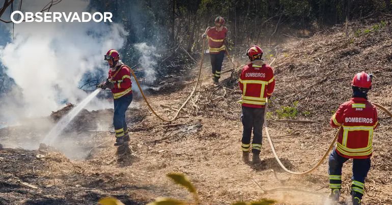 Associação dos salva-vidas inicia convenção nacional em “fase de alta descontentamento