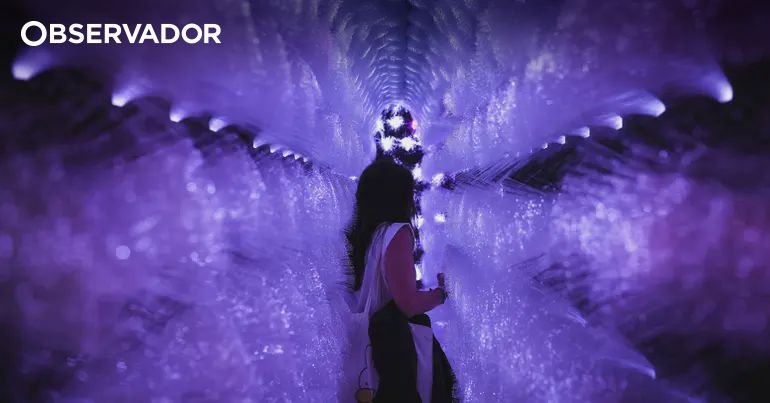 DGArtes abre oportunidades para representar Portugal na Quadrienal de Praga