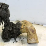 Cientistas resgatam RNA de mamute com 40 mil anos ainda repleto de pistas